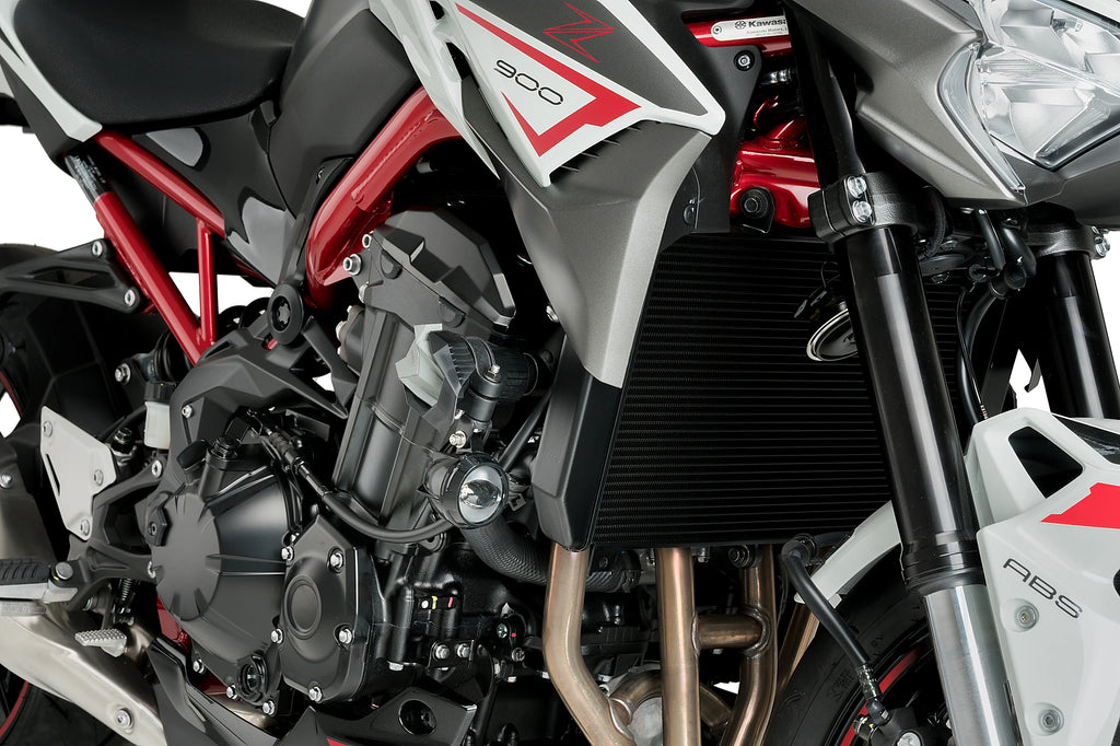 Protector de motor Puig LS19 para Kawasaki Z900